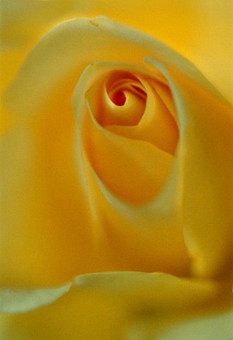 14_Ros_1