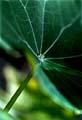 08_krasse_12