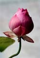 10_Nackrus_33