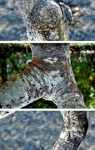 konst2_6