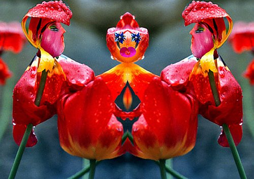 04prev5